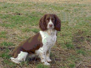 SFTCH 2002 Sportsman Lina