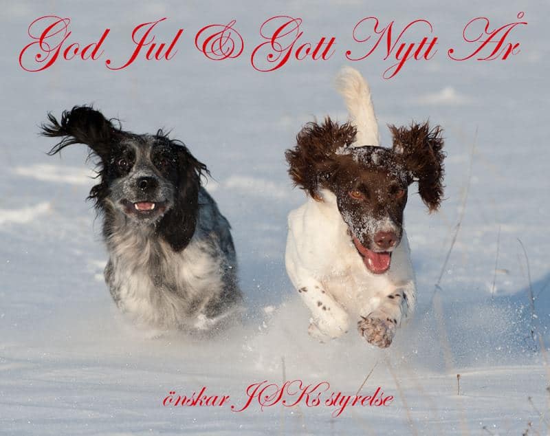 Julkort JSK 2011