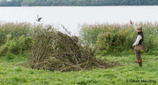 Foto: Johan Meurling