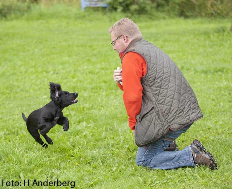 Full Fart Såklart Jaktspanielklubben 