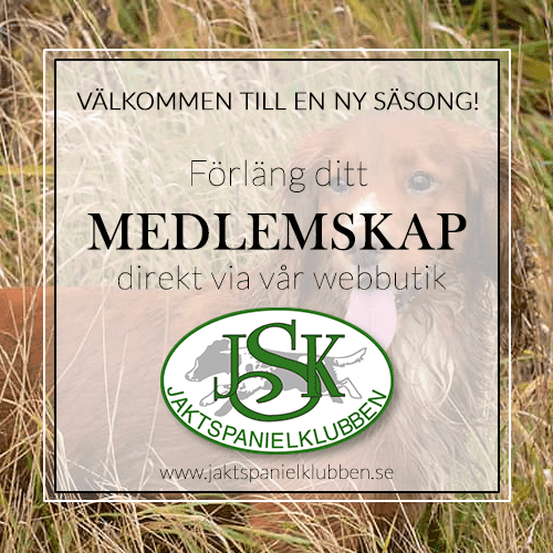 Dags för nytt medlemskapsår