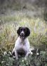 13_JSK-Masterskap_dag2_2018_Foto_CarinTraffe