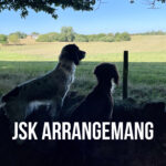 JSK arrangemang