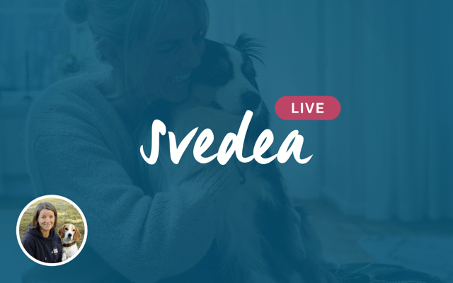 Svedea bjuder in till en Live kväll, 22 nov