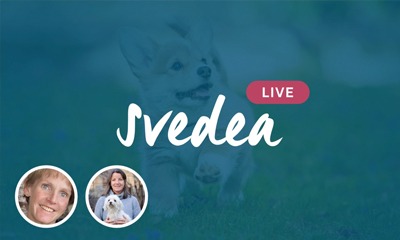 SVEDEA LIVE VALPSPECIAL 8 MAJ