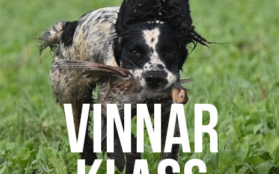 VINNARKLASS 10-11-24, Falkenberg
